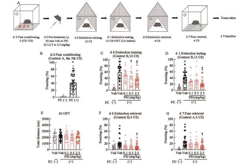 Study suggests psilocybin could help treat fear-based and other mental disorders