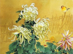 Hoa cúc. Zou Chuan