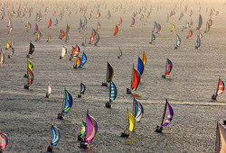 Parade of spinnakers in Round Island Race- Isle of Wight, England