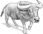 Markets Bull logo.