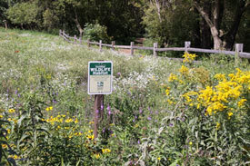 Field habitat in southeast lower Michigan