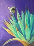 Agave and Wren - Posted on Tuesday, December 16, 2014 by Anna Lisa Leal