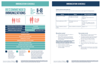 Adolescent Immunization flip chart
