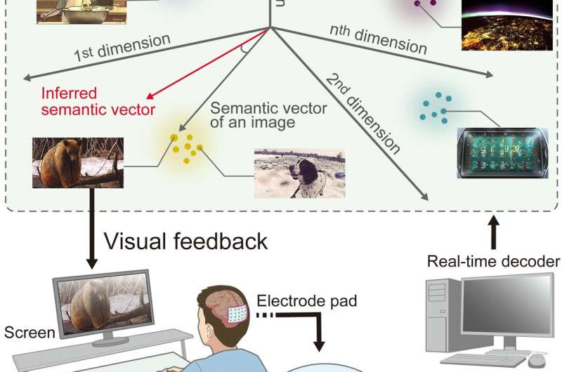 Scientists see what research participants picture in their mind's eye