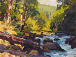 "Sol Duc River Afternoon"  plein air, landscape, oil painting by Robin Weiss - Posted on Friday, December 19, 2014 by Robin Weiss