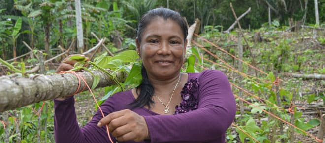 Une femme indigène dans la forêt tropicale
