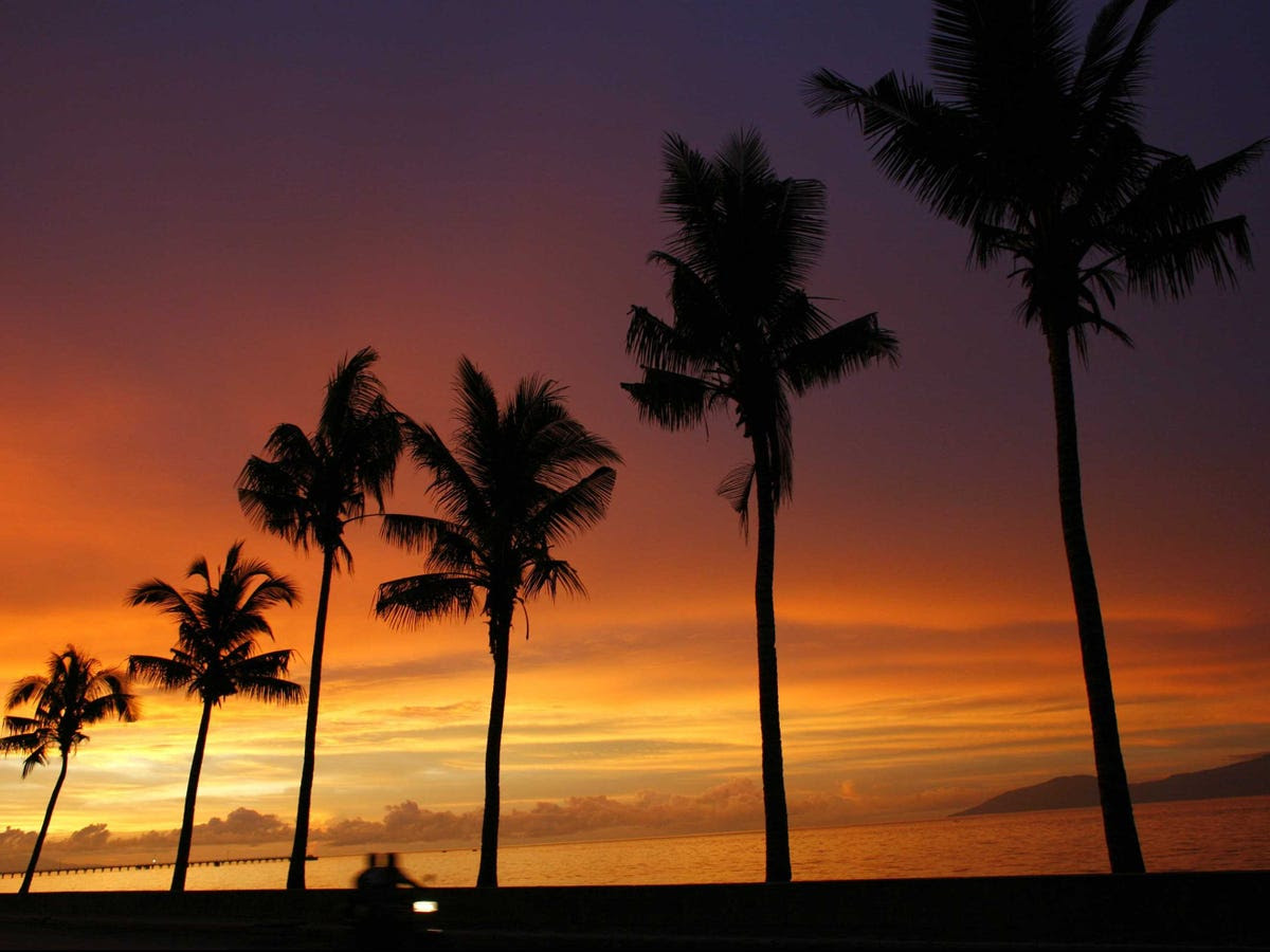 25. (tie) East Timor: 78,000 tourists