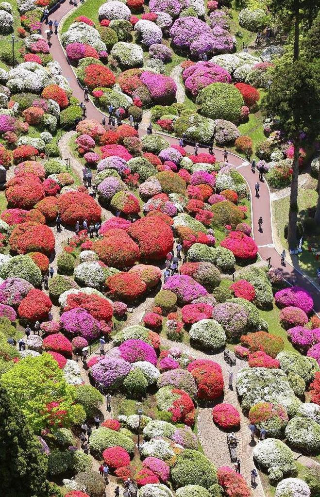 色とりどりに美しく咲いた「山のホテル」庭園のツツジ＝１４日、神奈川県箱根町