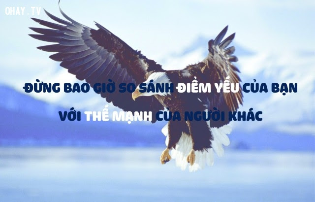 Đừng bao giờ so sánh điểm yếu của bạn với thế mạnh của người khác,suy ngẫm,câu nói hay,triết lý cuộc sống