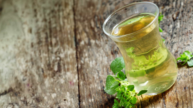 Chá de orégano: conheça os benefícios para a saúde