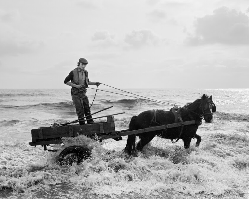 A black and white photo shows a man steering a horse cart through shallow ocean waves